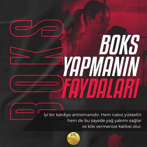 Cat Sports - 9. Fotoğraf