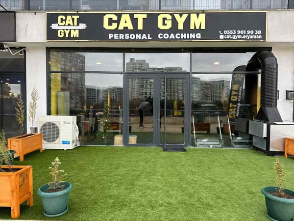 Cat GYM - 26. Fotoğraf