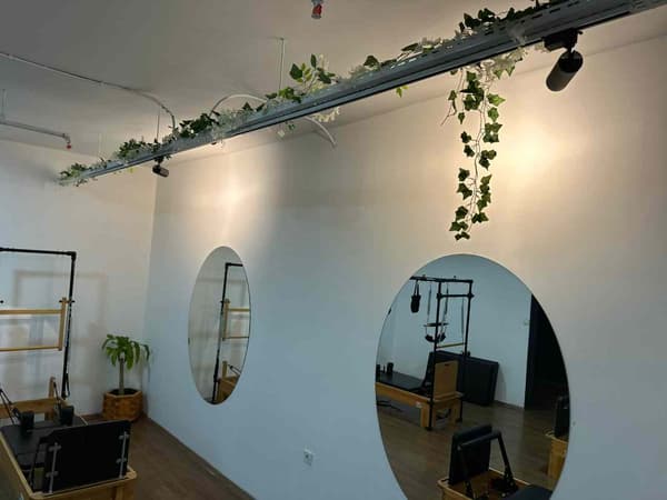Cat GYM - 15. Fotoğraf