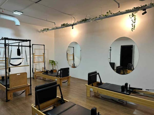 Cat GYM - 9. Fotoğraf