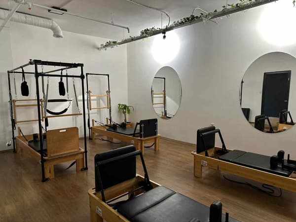 Cat GYM - 16. Fotoğraf