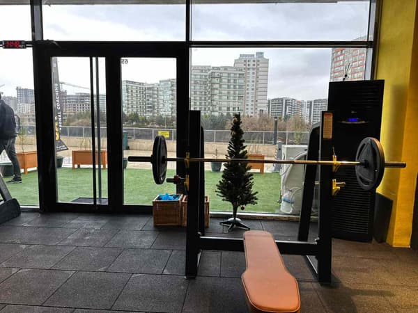 Cat GYM - 25. Fotoğraf