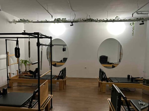 Cat GYM - 13. Fotoğraf