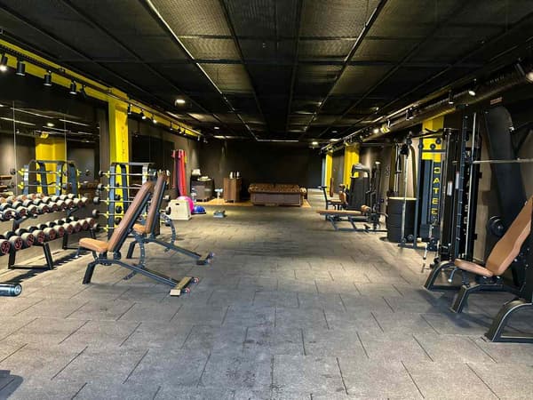 Cat GYM - 27. Fotoğraf