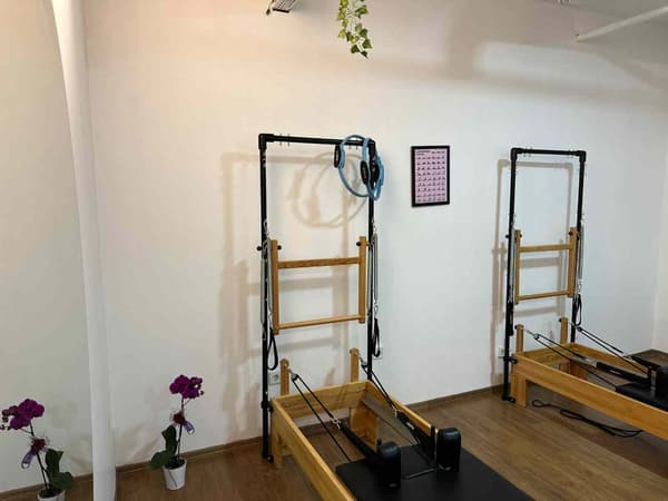 Cat GYM - 12. Fotoğraf