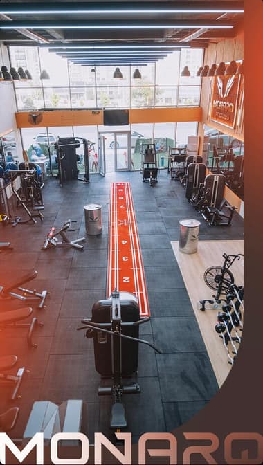 MonarQ Pt Studio MonarQ Pt Studio